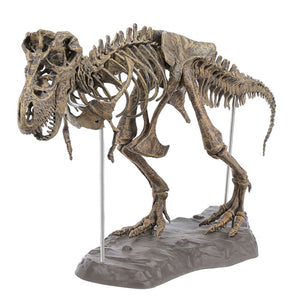 Colour,Tyrannosaurus,Skeleton,Dinosaur,Animal,Collector,Model,Decorations