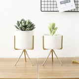 Display,Ceramic,Landscape,Shelf,Stand,Decor