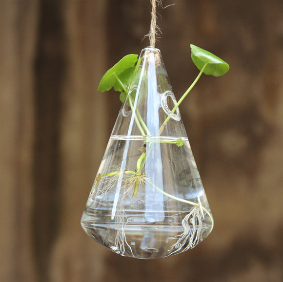 Hanging,Water,Shaped,Glass,Hydroponics,Flower,Garden,Wedding,Party,Decoration