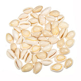 50pcs,Creamy,White,Natural,Shell,Loose,Beads,Accessories,Bracelets,Ornament,Decorations