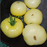 Egrow,White,Tomato,Seeds,Gardening,Plants,Tasty,Vegetable,Fruit,Seeds