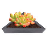 Silicone,Flower,Triangle,Geometric,Craft,Succulent,Plant,Concrete,Mould