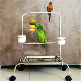 Stainless,Steel,Small,Parrot,Kabob,Stick,Scooter,Fruit