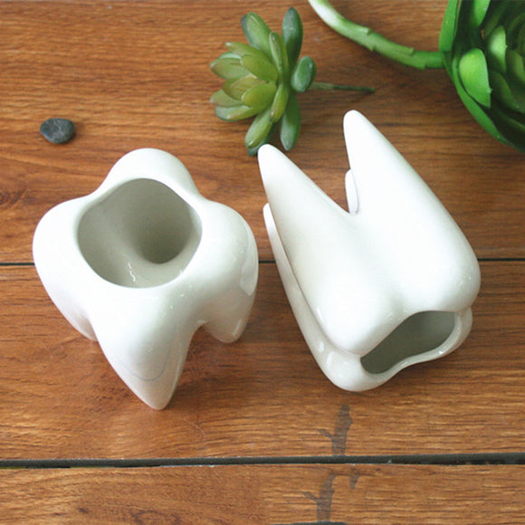 Ceramic,Plant,Flower,Succulent,Garden,Teeth,White,Decorative,Storage,Container