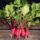 Egrow,Beetroot,Seeds,Beetroot,Plants,Green,Vegetable,Vulgaris,Bonsai,Plantas,Hardy,Vegetable