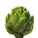 Egrow,Artichoke,Seeds,Globe,Bonsai,Vegetable,Garden,Plant