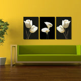 Miico,Painted,Three,Combination,Decorative,Paintings,Botanic,White,Flower,Decoration