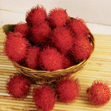 Egrow,Rambutan,Seeds,Fruits,Bonsai,Plants,Garden,Ornamental,Trees