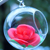 Round,Glass,Hanging,Candle,Light,Globe,Holder,Candlestick,Party,Wedding,Decor