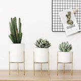 Ceramic,Flower,Plant,Succulent,Indoor,Garden,Display,Stand,Planter,Holder,Decor