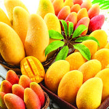 Egrow,Edible,Mango,Fruit,Seeds,Garden,Courtyard,Outdoor,Plants,Mango