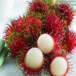 Egrow,Rambutan,Seeds,Fruits,Bonsai,Plants,Garden,Ornamental,Trees