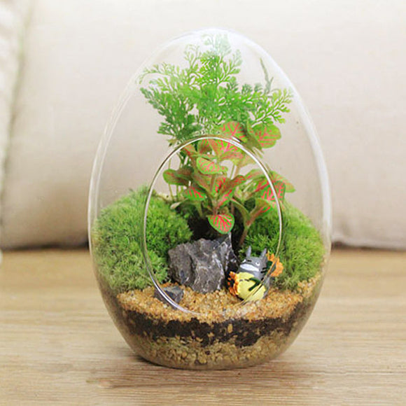 Shaped,Micro,Landscape,Glass,Bottle,Succulent,Plants,Decoration