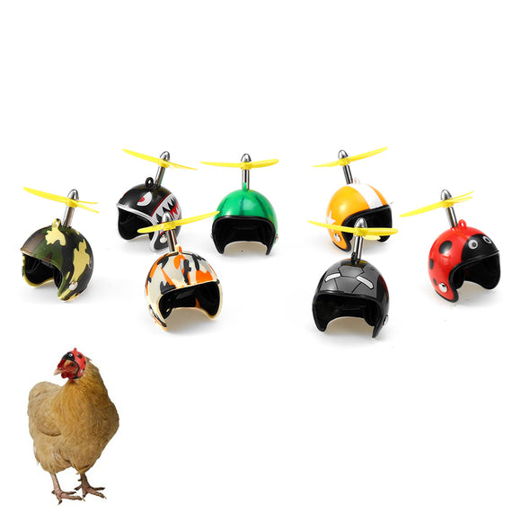 Chicken,Helmet,Protective,Carriers,Supplies