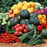 1500Pcs,Egrow,Varieties,Mixed,Fruit,Seeds,Organic,Fruit,Seeds,Sweet,Candied,Fruit,Indoor,Greenhouse,Planting
