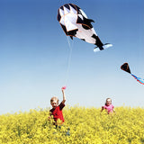 Outdoor,Large,Whale,Software,Beach,Cartoon,Animal,Kites,Single,Frameless,Handle,Adult,Family