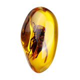 Beautiful,Amber,Hornet,Petrifaction,Insects,Manual,Polishing,Insect,Specimens,Decorations