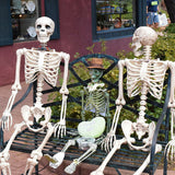 Human,Skeleton,Scary,Bones,Poseable,Hanging,Halloween,Party,Decorations