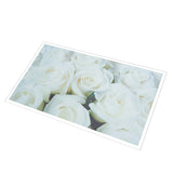 Unframed,Modern,Flower,White,Canvas,Picture,Poster,Paintings,Decorations