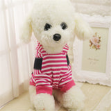 Winter,Cotton,Clothes,Straps,Stripe,Color,Hoodie,Coats