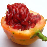 Egrow,Passion,Seeds,Tropical,Bonsai,Fruit,Garden,Plant