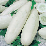 Egrow,White,Cucumber,Seeds,Garden,Balcony,Vegetable,Fruit,Cucumber,Planting