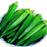 Egrow,Seeds,Organic,Vegetable,Flores,Garden,Potted,Plants