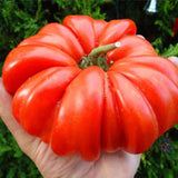 Egrow,Mixed,Variety,Tomato,Seeds,Tomato,Vegetable,Fruit,Veggie,Garden,Plants