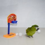 Birds,Parakeet,Balls,Parrot,Birdie,Basketball