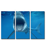 Miico,Painted,Three,Combination,Decorative,Paintings,White,Shark,Decoration