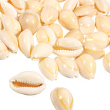 50pcs,Creamy,White,Natural,Shell,Loose,Beads,Accessories,Bracelets,Ornament,Decorations