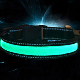 Smart,Solar,Power,Charging,Electronic,Flashing,Light,Nylon,Collar,Different