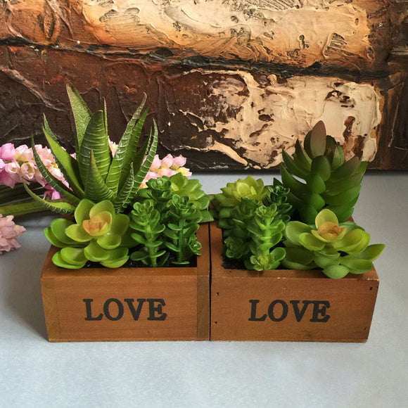 Wooden,Basin,Desktop,Lotus,Succulent,Plants,Flower,Garden,Bonsai