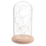 Clear,Glass,Display,Cloche,Wooden,Decorations,Fairy,String,Light