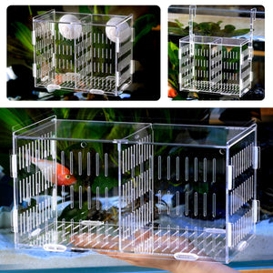 Large,Aquarium,Acrylic,Isolation,Incubator,Breeding,Breeder,Hatching,Hanging