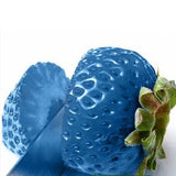 500Pcs,Green,Strawberry,Seeds,Fruit,Seeds,Garden,Seeds