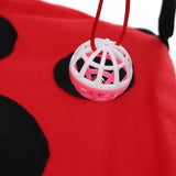 Activity,Playing,Exercise,Kitten,Bells,House