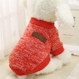 Clothes,Puppy,Outfit,Jacket,Winter,Clothes,Sweater,Clothing