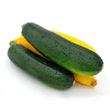 Egrow,Zucchini,Squash,Vegetable,Fruits,Seasons,Melon,Seeds,Garden,Planting