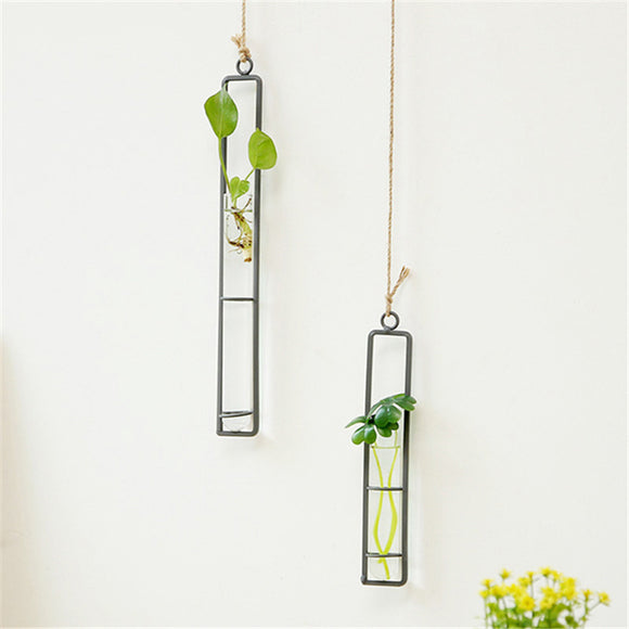 Large,Glass,Pendant,Living,Hanging,Green,Plant,Containers