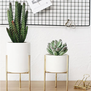 Ceramic,Flower,Plant,Succulent,Indoor,Garden,Display,Stand,Planter,Holder,Decor
