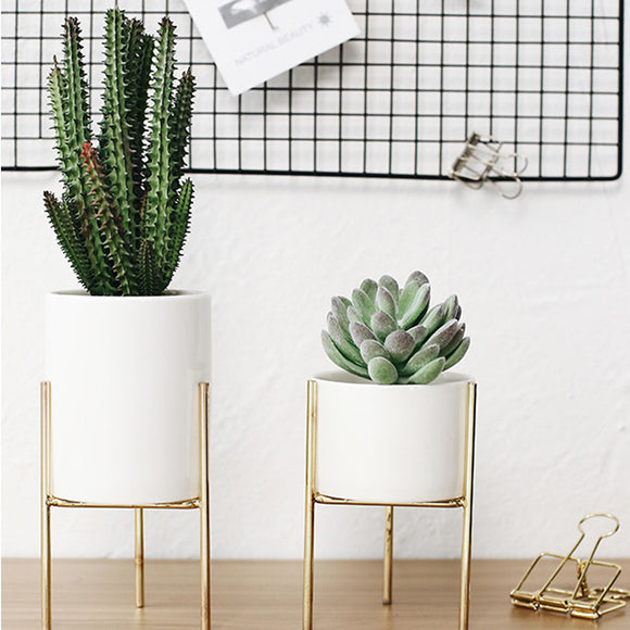 Ceramic,Flower,Plant,Succulent,Indoor,Garden,Display,Stand,Planter,Holder,Decor