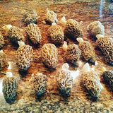 Egrow,Morel,Mushroom,Strains,Seeds,Garden,Planting,Edible,Eryngii,Vegetable,Seeds