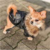 Nsmsan,Collar,Leather,Coats,Waterproof,Winter,Coats,Puppy,Weather,Clothes