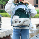 Colors,Breathable,Transparent,Travel,Backpack,Carrier,Shoulder