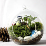 Mirco,Landscape,Plant,Natural,Leucobryum,Bowringii,Glass,Bottle,Decorations