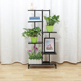Shelf,Flower,Plant,Stand,Bookshelf,Indoor