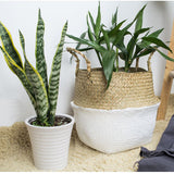 Grass,Belly,Basket,Storage,Plant,Foldable,Laundry,Decorative,Flower