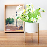 Ceramic,Flower,Plant,Succulent,Indoor,Garden,Display,Stand,Planter,Holder,Decor