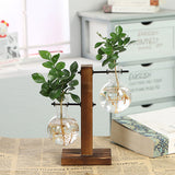 Terrarium,Glass,Hydroponic,Plant,Transparent,Flower,Wooden,Frame,Decorations